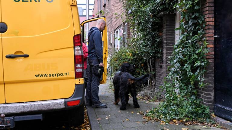 Zeer giftige slang ontsnapt in Tilburg, gemeente en politie slaan alarm