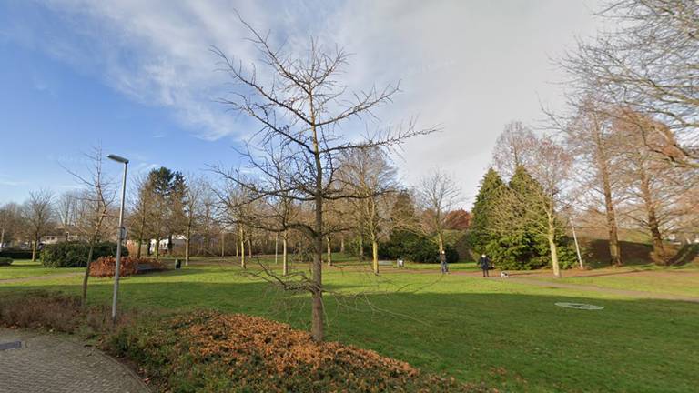 Een vrouw van 55 werd in een park in Drunen aangerand. (Foto: Google Maps)