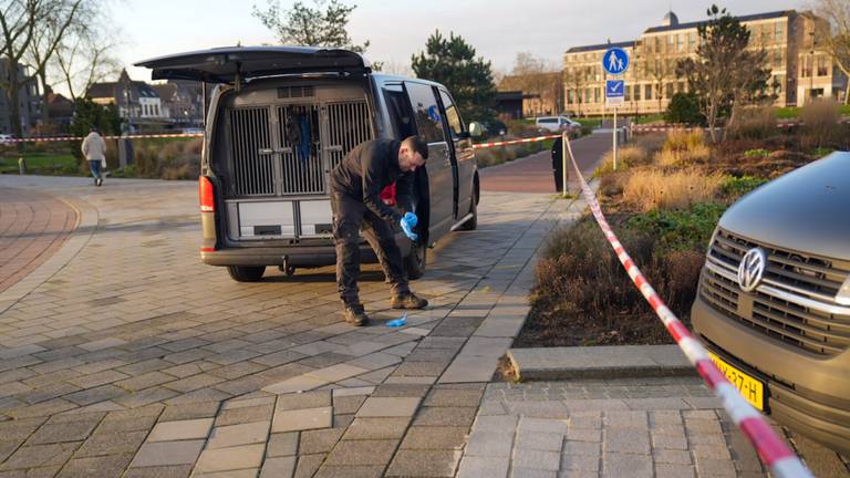 In het park werd in december uitgebreid onderzoek gedaan (foto: Harrie Grijseels/SQ Vision).