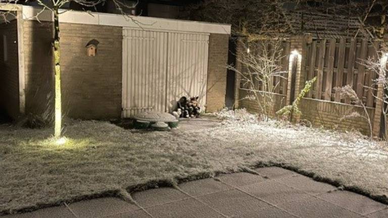 Omroep Brabant