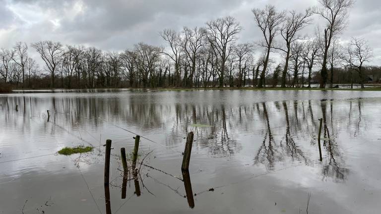 Omroep Brabant