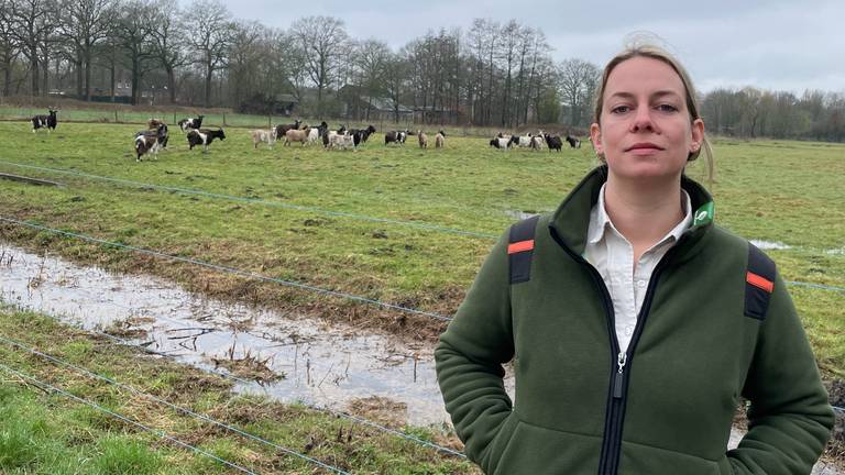 Boswachter Lieke Verhoeven bij de kudde geiten in Helenaveen.