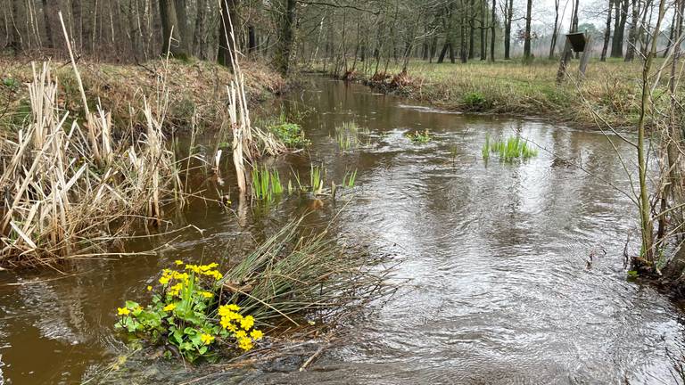 Omroep Brabant