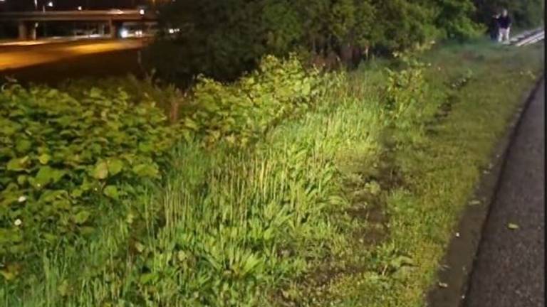 De auto belandde in de bosjes naast de snelweg (foto: Instagram wijkagenten Etten-Leur).