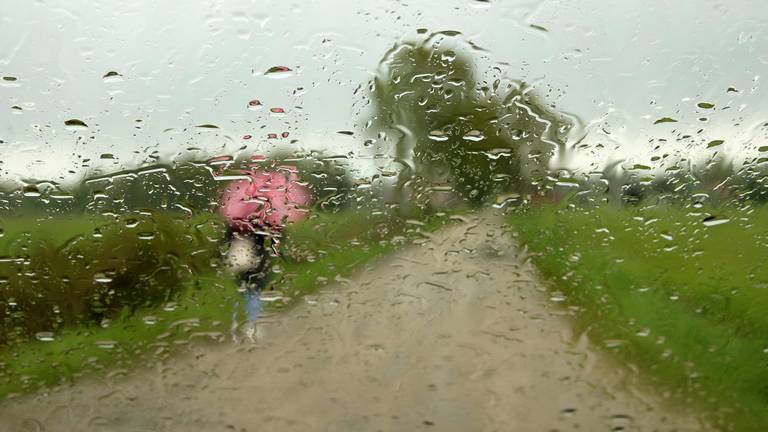 Na zonnige dagen zijn er dit weekend buien op komst (foto: Ben Saanen).