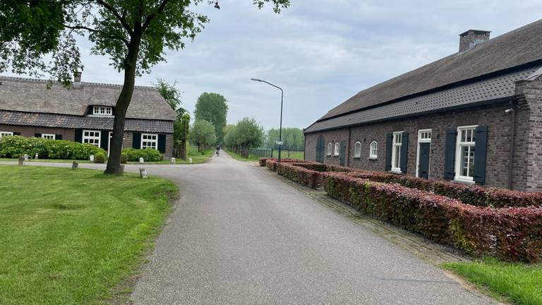 De Beemdkant in Lieshout waar de spijkers werden gevonden (foto: Omroep Brabant).