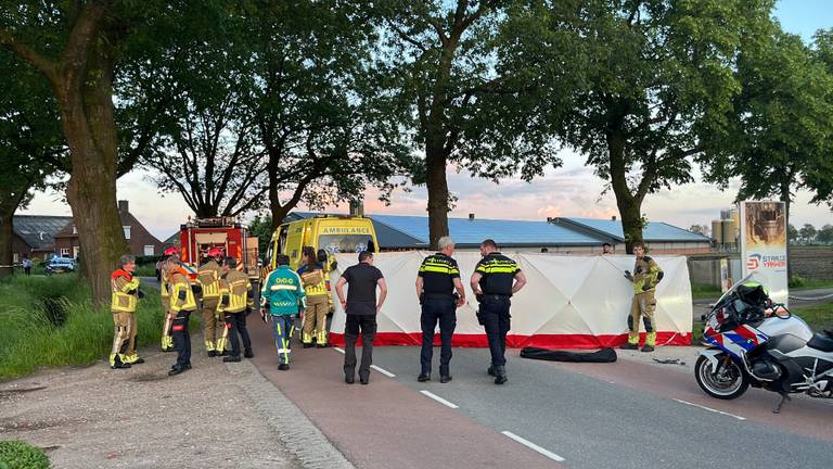 Automobiliste rijdt tegen boom en komt om het leven