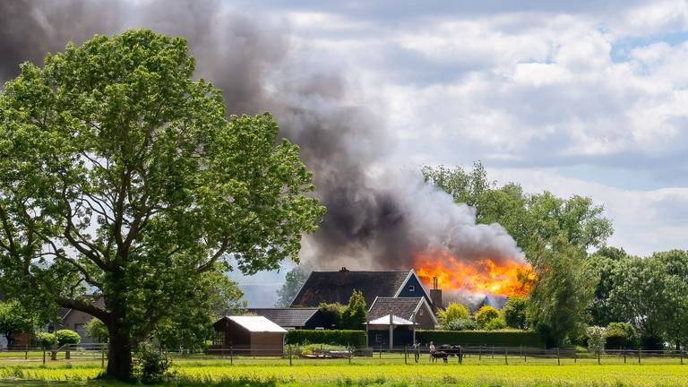 Omroep Brabant