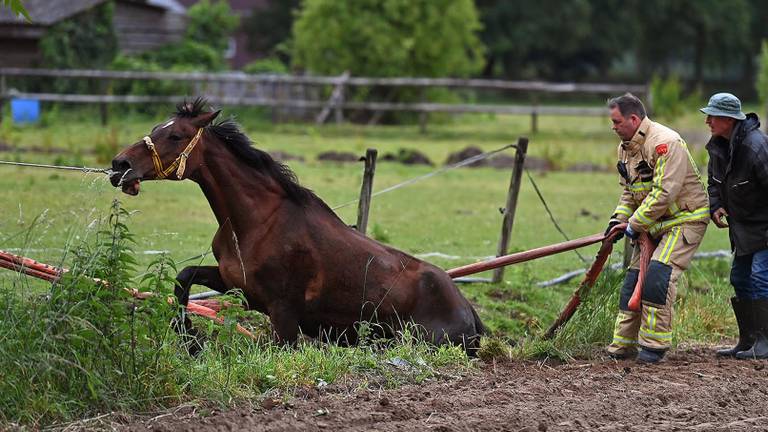 Omroep Brabant