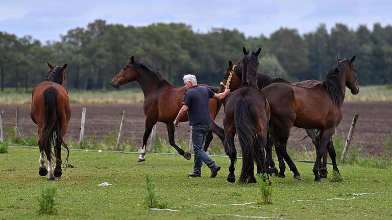 Omroep Brabant