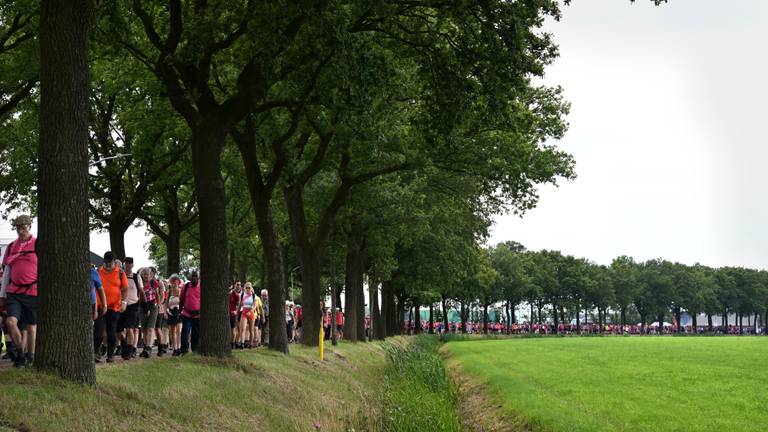 Nijmeegse Vierdaagse 2024 (foto: ANP). 