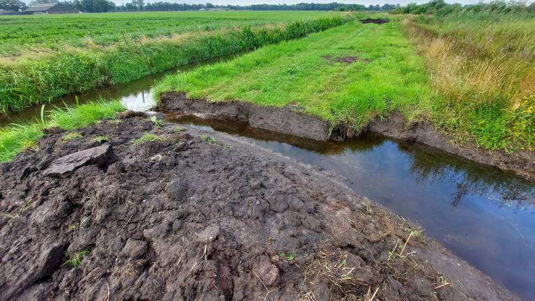 Een van de geulen (foto: Waterschap De Dommel).