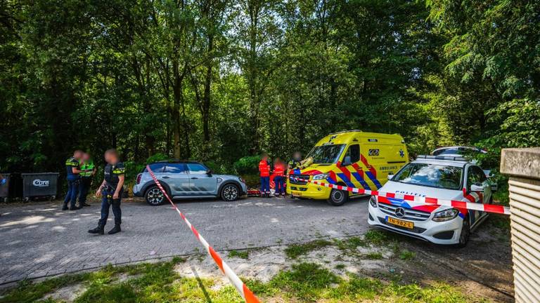 Gezochte Misha W. aangehouden: stond op Nationale Opsporingslijst