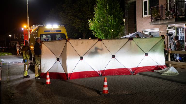 Dronken automobilist (34) schept oudere vrouw in haar eigen tuin