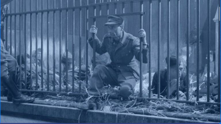 Duitsers gevangen in dierentuinkooien van de Zoo in Antwerpen (foto: Stadsarchief Antwerpen)