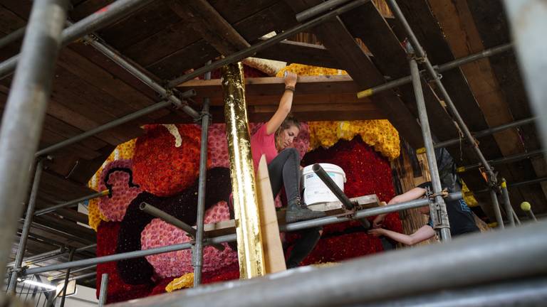 Een vrijwilliger in de steigers (Foto: Omroep Brabant)