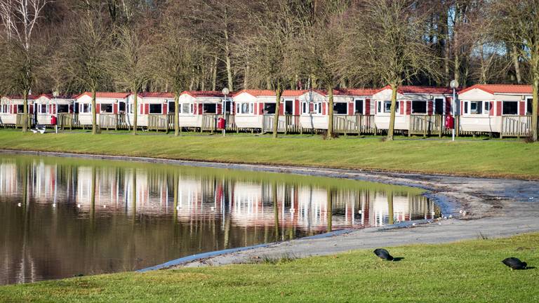 Beeld ter illustratie (Foto: ANP)