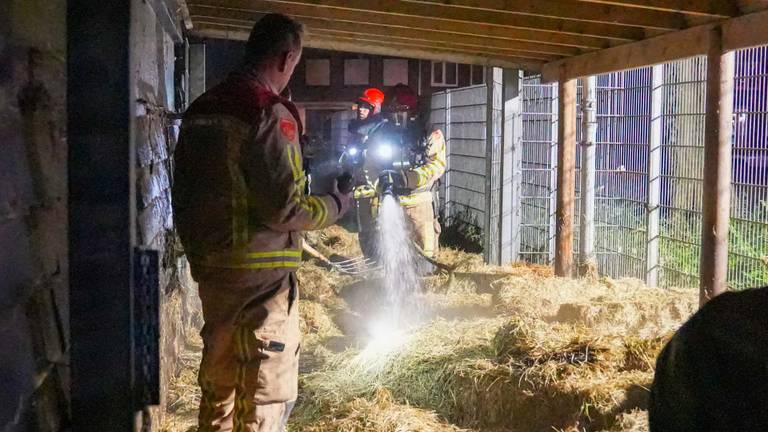 Hooibalen in brand bij dierenpark (foto: Harrie Grijseels / SQ Vision).
