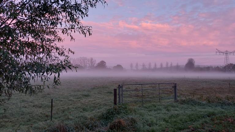 Foto: Tom Berkers.