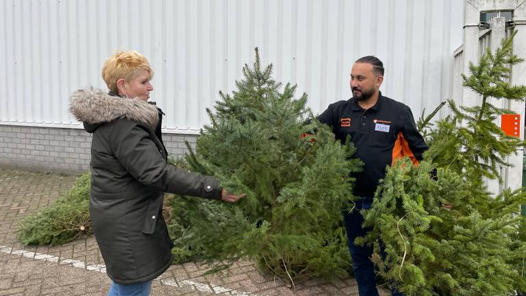 Kerstbomen bij de voedselbank