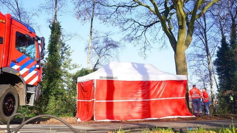 Bestuurder (36) komt om na aanrijding tegen boom