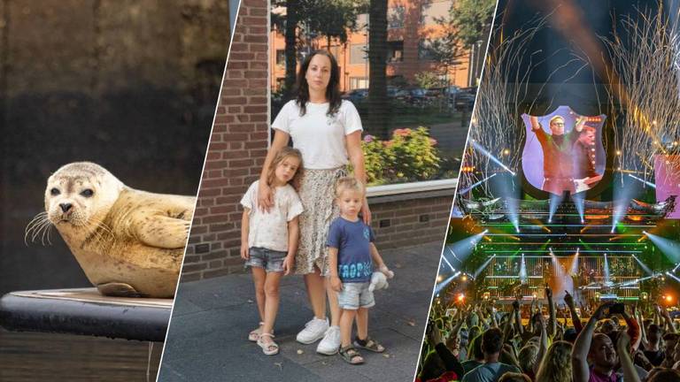 Anonieme schenking van 14 mille en avontuurlijke zeehond: zo fijn was 2024