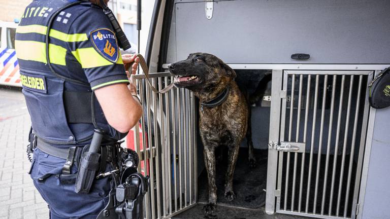 Een agent met zijn hond, dit is niet de hond uit het verhaal (foto: ANP).