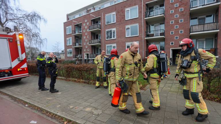 Foto: Arno van der Linden / SQ Vision