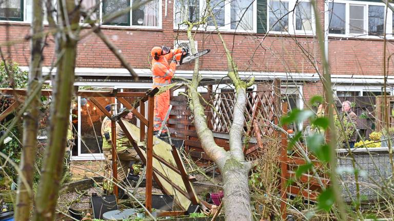 De schade aan de schutting in Breda (Foto: Perry Roovers).
