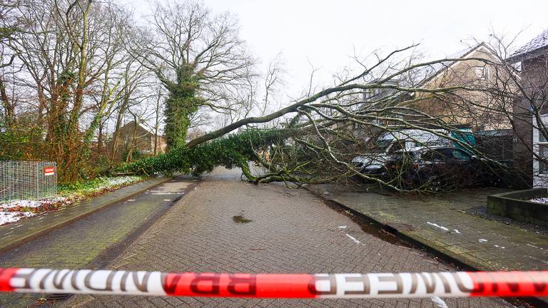Auto en busje bedolven onder boom, huis flink beschadigd