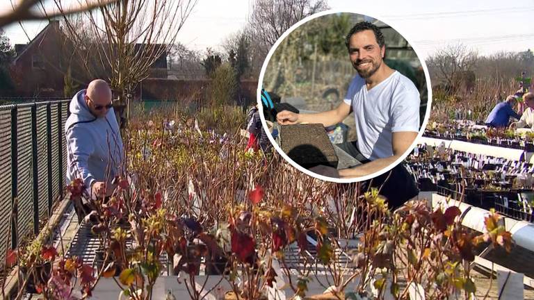 Drukte bij het tuincentrum/ Steven in zijn volkstuin (Foto: Floortje Steigenga.)