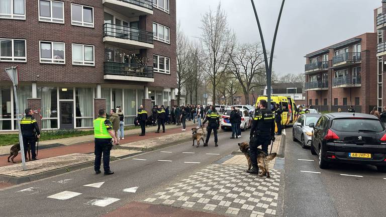 Foto: Jeroen Stuve/Persbureau Heitink