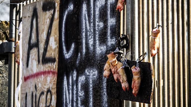 Protestborden en varkenspoten bij een beoogde locatie voor een azc in Berlicum (foto: ANP).