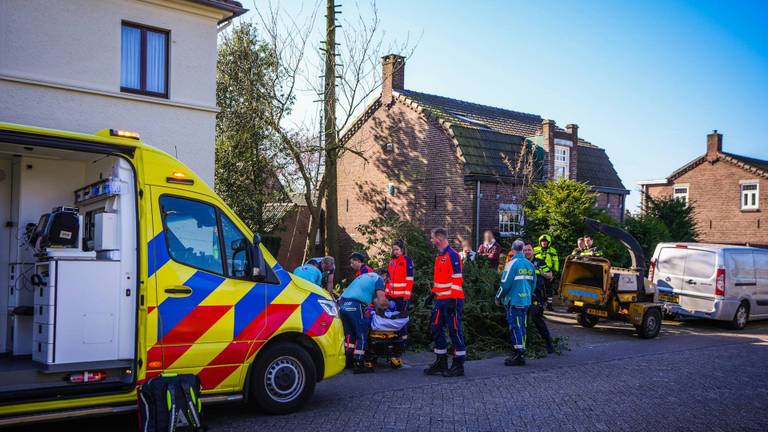 Kappen van boom gaat mis: man ernstig gewond