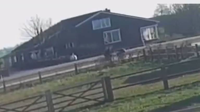 Fietser die op moeder met baby knalde heeft zich gemeld bij familie