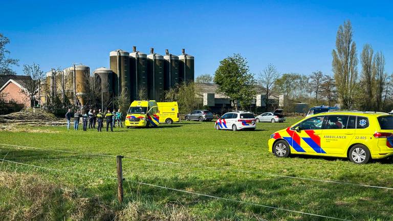 Boom valt na omzagen verkeerde kant op en belandt op man