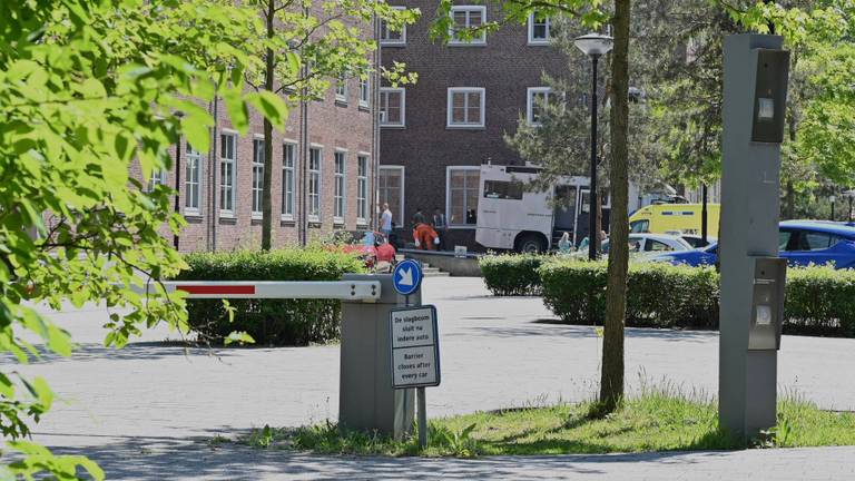 Foto: Perry Roovers/Persbureau Heitink.
