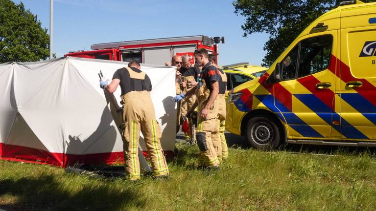 Foto: Harrie Grijseels/Persbureau Heitink.