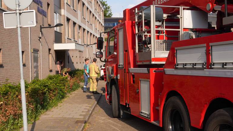 Foto: Harrie Grijseels/Persbureau Heitink