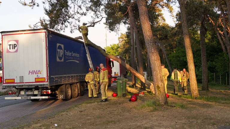 Foto: Harrie Grijseels/Persbureau Heitink