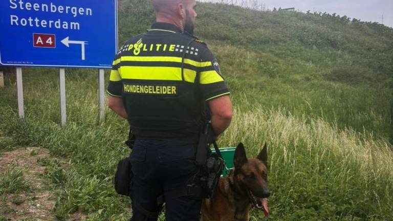 Foto: Instagram politiehonden Zeeland-West-Brabant.