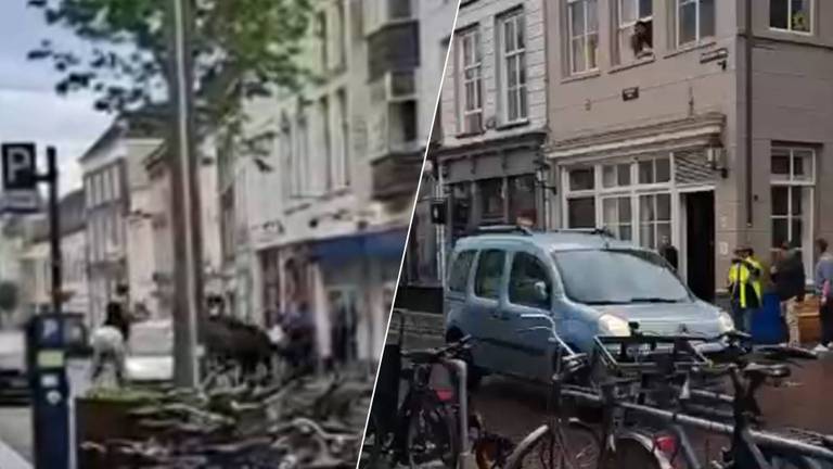 Man rijdt met bestelbusje opzettelijk in op politiepaarden, dieren gewond