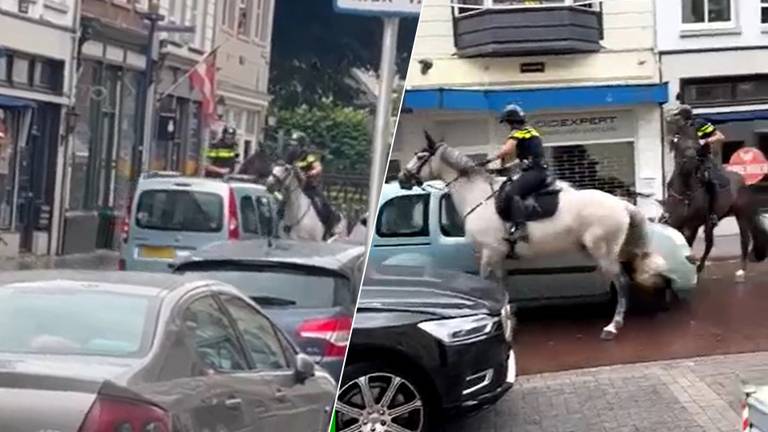 De man reed woensdagmiddag in op de paarden (privébeeld).