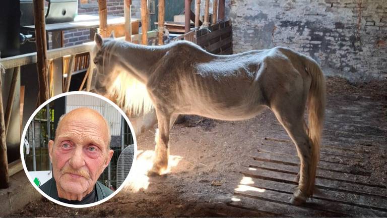 Foto: Landelijke Inspectiedienst Dierenwelzijn.