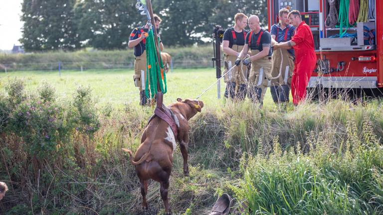 Omroep Brabant