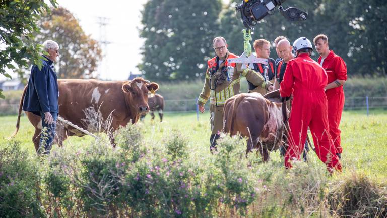 Omroep Brabant