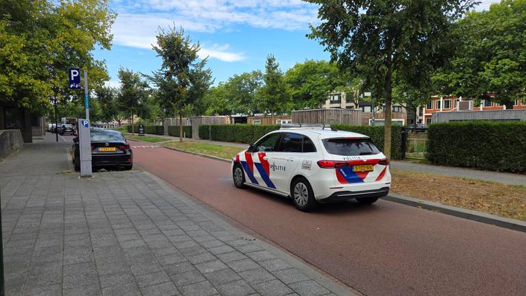 De Nijverheidssingel in Breda (foto: Noël van Hooft).