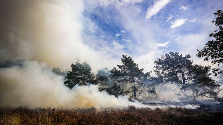 Rookgranaat veroorzaakt grote brand op de Oirschotse Heide