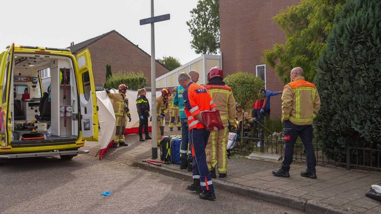 Foto: Harrie Grijseels/Persbureau Heitink.