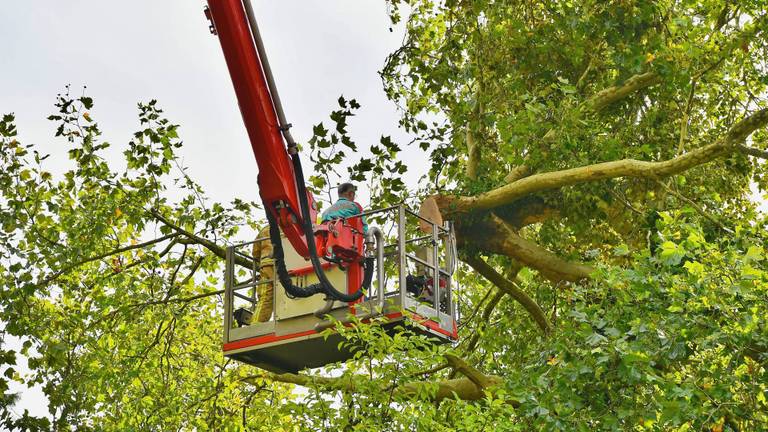 De hulpdiensten zijn aanwezig in Waalre (foto: Rico Vogels/Persbureau Heitink).